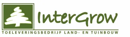 My Website